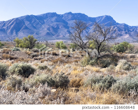 Mountains in the Australian Outback Mountains in the Australian Outback 116608648