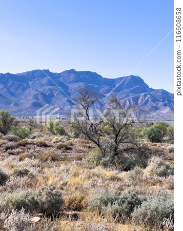 Mountains in the Australian Outback Mountains in the Australian Outback 116608658