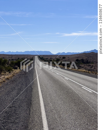 Endless Road through Australian Outback Endless Road through Australian Outback 116608677