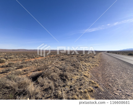 Endless Road through Australian Outback 116608681