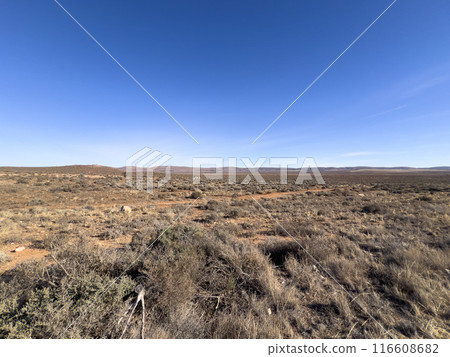 Mountains in the Australian Outback 116608682
