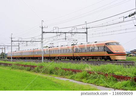 東北本線 東鷲宮栗橋東武鐵道 100 系列 106F Spacia Nikko Pilgrimage 116609009