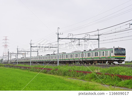 Tohoku Main Line Higashiwashimiya-Kurihashi JR East E231 series 1000 series S-25 train (Kozu) Tohoku Main Line Higashiwashimiya-Kurihashi JR East E231 series 1000 series S-25 train (Kozu) 116609017
