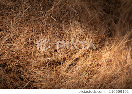 coconut coir rope making with traditional process coconut coir rope making with traditional process 116609191