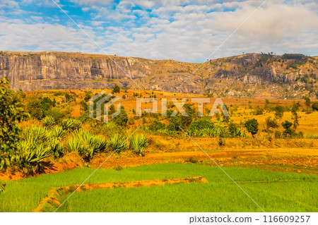view of hills and mountains along main Madagascar road view of hills and mountains along main Madagascar road 116609257