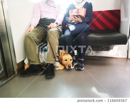 火車上的導盲犬 火車上的導盲犬 116609367