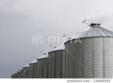 Minimal view to a row of gray metal granaries and sky. Minimal view to a row of gray metal granaries and sky. 116609569