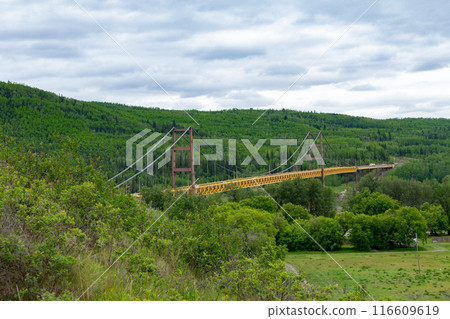 Landscape in summer woodland with yellow bridge and cloudy sky. Landscape in summer woodland with yellow bridge and cloudy sky. 116609619