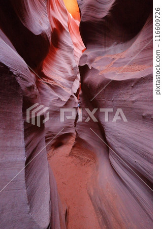 Antelope Canyon, Arizona, USA Antelope Canyon, Arizona, USA 116609726