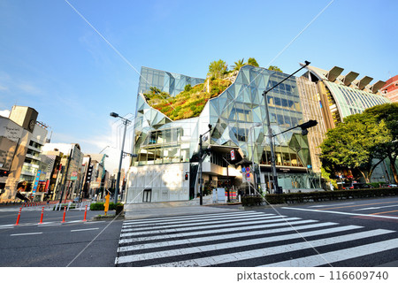 東京明治神宮前東急廣場原宿「原門」風景 116609740