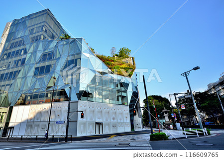 東京明治神宮前東急廣場原宿「原門」風景 116609765