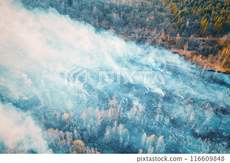 Aerial View. Spring Dry Grass Burns During Drought Hot Weather. Bush Fire And Smoke In Deforestation Zone. Wild Open Fire Destroys Grass. Nature In Danger. Ecological Problem Air Pollution 116609848