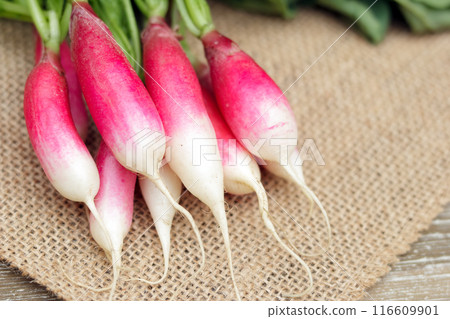Fresh and clean red and white raddish (French breakfast variety) is on the burlap cloth on the wooden table. 116609901