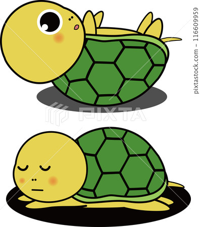 可愛的海龜睡覺和翻身的插圖集 116609959