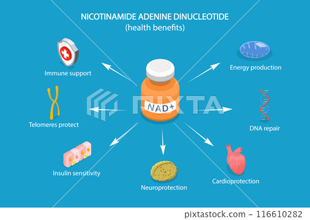 3D Isometric Flat Vector Illustration of Health Benefits Of NAD plus, Anti-Aging Therapy 116610282