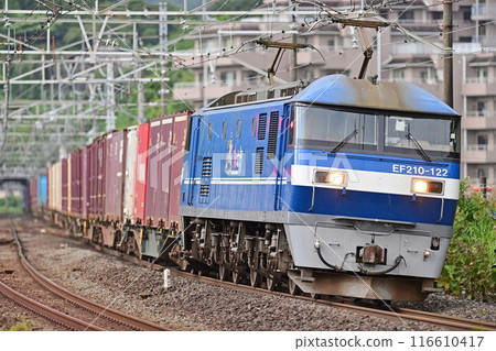 Tokaido Main Line, Manazuru, JR Freight, EF210-122 (Shintsurumi) 116610417