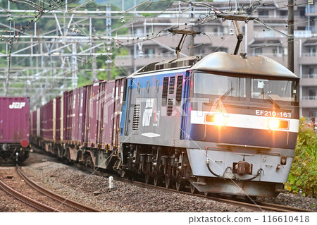 Tokaido Main Line, Manazuru, JR Freight, EF210-163 (Shintsurumi) 116610418