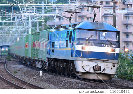 東海道幹線真鶴 JR 貨運 EF210-304（吹田） 116610421