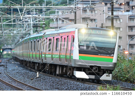 Tokaido Main Line Manazuru JR East E233 series 3000 series U222 formation (Oyama) Tokaido Main Line Manazuru JR East E233 series 3000 series U222 formation (Oyama) 116610450