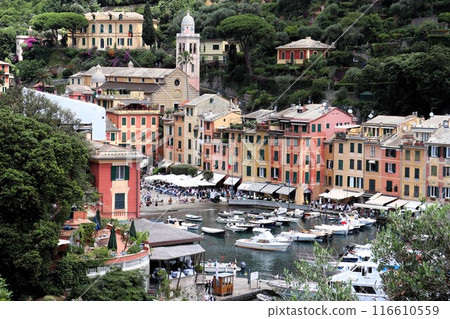 Resort area Portofino, Italian Riviera, Italy, Europe Resort area Portofino, Italian Riviera, Italy, Europe 116610559
