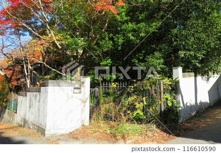 別墅區的一棟廢棄房屋，只剩下柵欄和門柱。 116610590