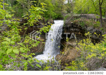 Minnehaha waterfall surrounded by trees and rock. Minnehaha waterfall surrounded by trees and rock. 116610692