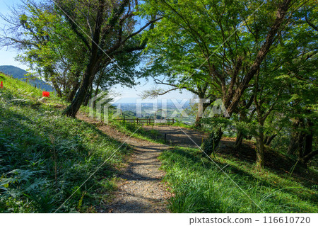 浮羽稻荷神社沐浴著美麗的初夏陽光，城鼻公園內綠意盎然 116610720