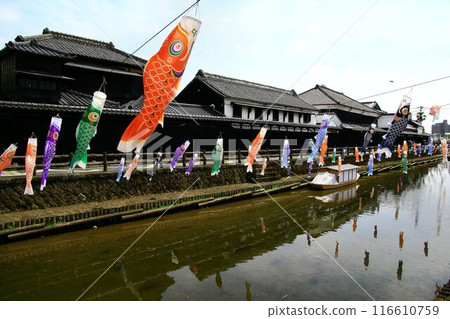 倉之町“ To木”鯉魚飄帶在戶浪河中游泳 116610759