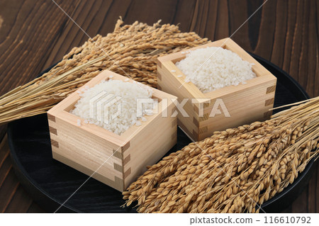 進入浴室的米飯 進入浴室的米飯 116610792