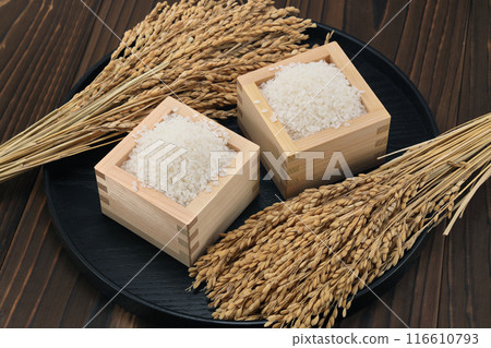 Rice that entered the bathroom 116610793