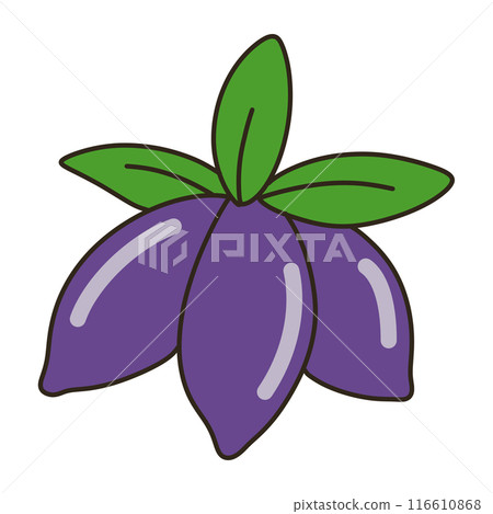 Huscup 116610868