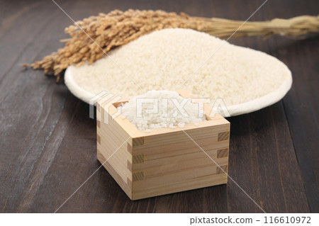 白米飯盛在方形和漏勺中 白米飯盛在方形和漏勺中 116610972