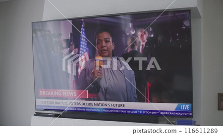 African American female correspondent reports breaking news African American female correspondent reports breaking news 116611289