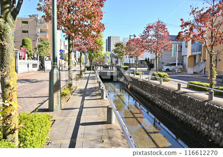 Nakasendo Kumagaya-juku: Hoshikawa Street, Kumagaya City's symbolic road 116612270