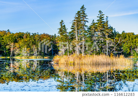 北海道知床五湖紅葉 - 水鏡三湖和知床山脈 - 北海道知床五湖紅葉 - 水鏡三湖和知床山脈 - 116612283