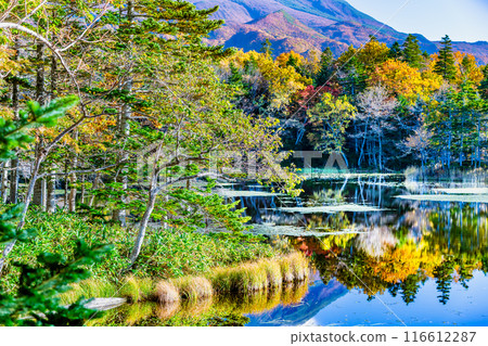 北海道知床紅葉五湖～水鏡三湖～ 116612287