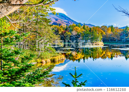 北海道知床五湖紅葉 - 水鏡三湖和知床山脈 - 116612288