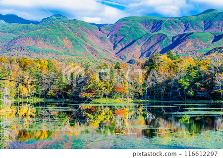 Hokkaido: Shiretoko Five Lakes in Autumn - The Three Mirror Lakes and the Shiretoko Mountain Range 116612297