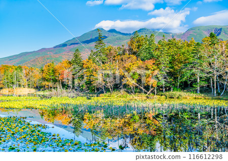 Hokkaido: Shiretoko Five Lakes in Autumn - The Three Mirror Lakes and the Shiretoko Mountain Range 116612298
