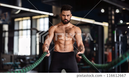 A muscular man with a beard is working out with battle ropes in a gym. A muscular man with a beard is working out with battle ropes in a gym. 116612667