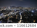 Seoul Night 116612684