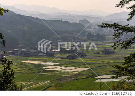 傍晚的陽光照亮的鄉村景觀 傍晚的陽光照亮的鄉村景觀 116612752
