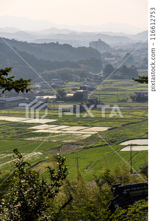 傍晚的陽光照亮的鄉村景觀 傍晚的陽光照亮的鄉村景觀 116612753