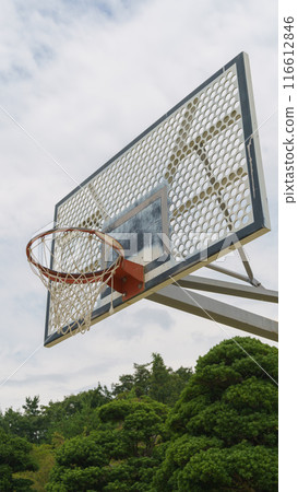Outdoor basketball goals 116612846