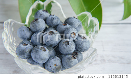 blueberry 116613145