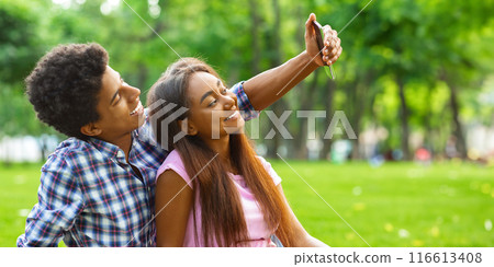 A teen black couple sitting on a grassy field in a park on a sunny day, taking selfie on smartphone. The couple is enjoying the beautiful weather and each others company, copy space 116613408