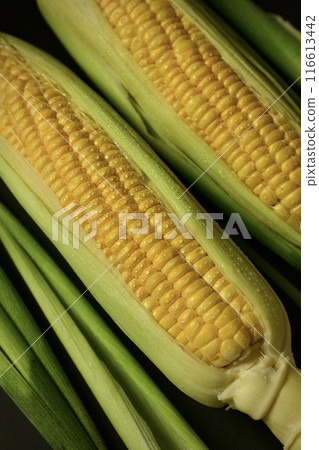 內襯玉米 116613442