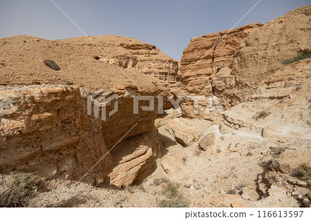 Tamaghza canyon flanked by tall layered rock walls under Tunisian sun 116613597