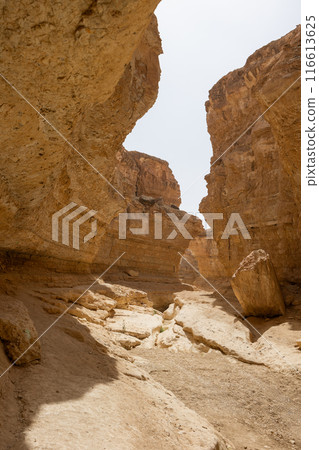 Canyon in Oasis of Tamaghza located in the hillcountry in Tunisia 116613625