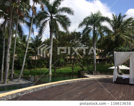 印度尼西亞巴厘島有泳池的別墅 116613638